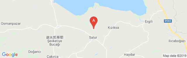 Balıkesir Manyas Airfield Airport