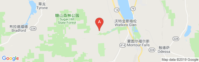 Hemlock Run Airport