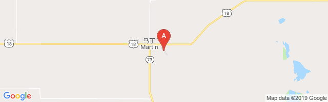 Martin Municipal Airport
