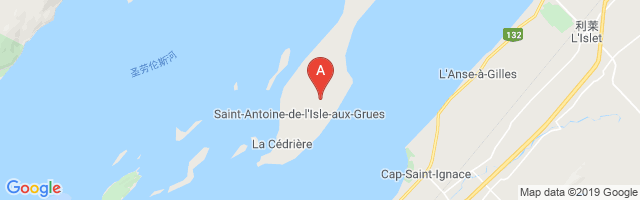 Île-aux-Grues Airport