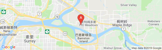 Pitt Meadows Airport