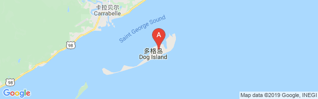 Dog Island Airport