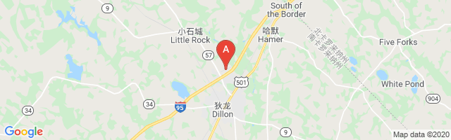 Dillon County Airport
