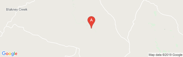 Municipal Airport