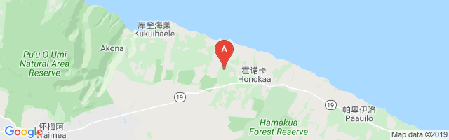 Honokaa Airstrip Airport