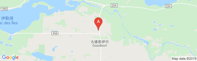 Goodsoil Airport