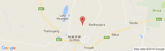 Griffith Airport