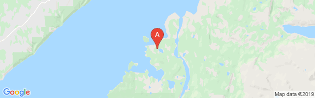 Bear Cove Farm Airport