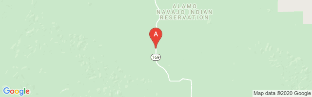Alamo Navajo Airport