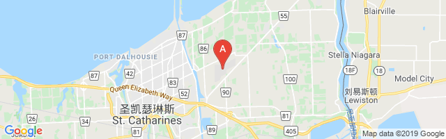 Niagara District Airport