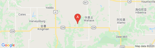Wilson Airport