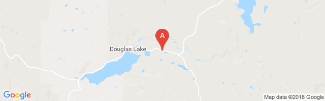 Douglas Lake Airport