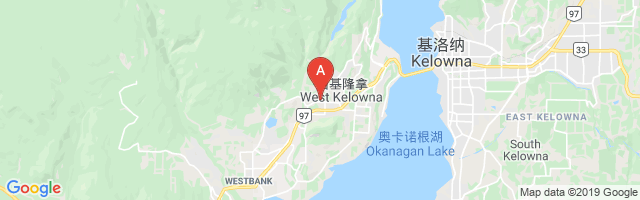 Kelowna (Wildcat Helicopters) Airport