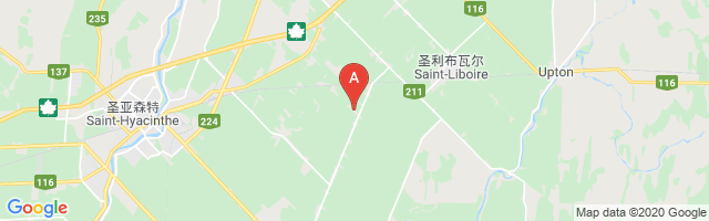 St-Dominique Airport