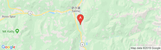 Salmo Airport