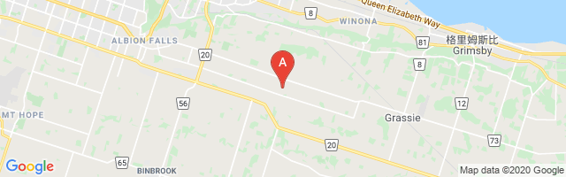 Stoney Creek Airport