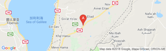 Fiq Airfield Airport