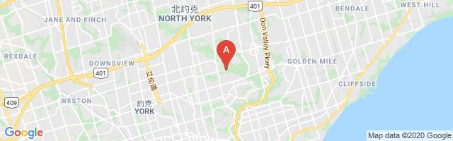 Toronto (Sunnybrook Medical Centre) Airport