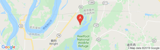 Reelfoot Lake Airport