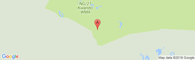 Camp Okavango Airport