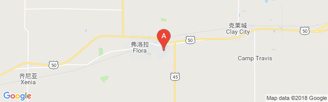 Flora Municipal Airport