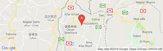 Kiryat Shmona Airport