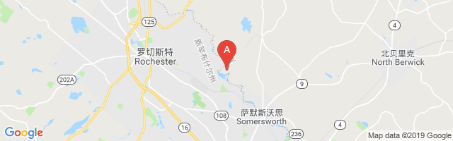 Salmon Falls Airport