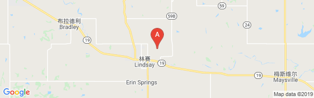 Lindsay Municipal Airport