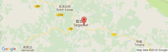 Segamat Airport