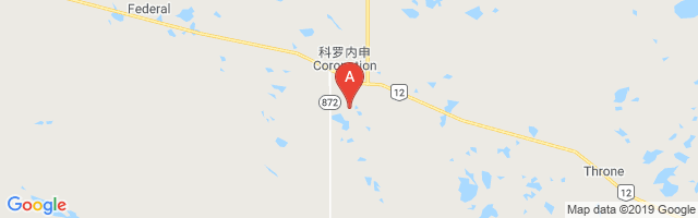 Coronation Airport