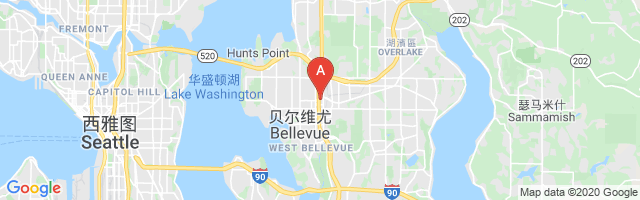 Overlake Hospital EMS Airport