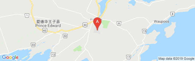 Picton Airport