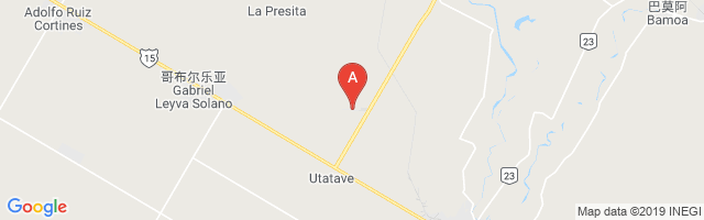 Campo Cuatro Milpas Airport