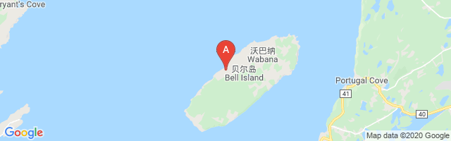 Bell Island Airport