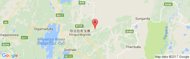 Hingurakgoda Air Force Base Airport