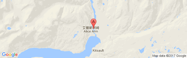 Alice Arm Airport