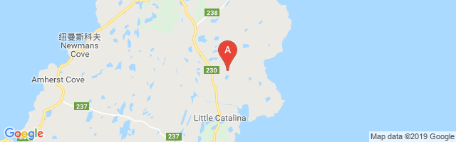 Bonavista Airport